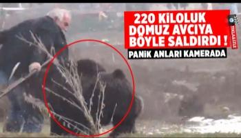 220 kiloluk domuz avcıya böyle saldırdı