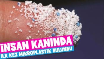 İnsan kanında ilk kez mikroplastik bulundu