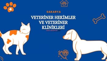 Veterinerlik Hizmetleri