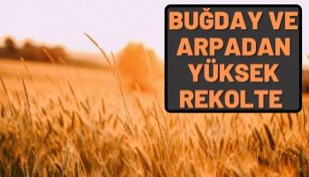 Buğday Ve Arpada Yüksek Rekolte Kapıda