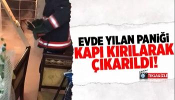 Akyazı'da eve giren yılan paniğe neden oldu