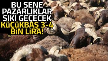 Kurbanlık küçükbaş 3-4 bin lira olur