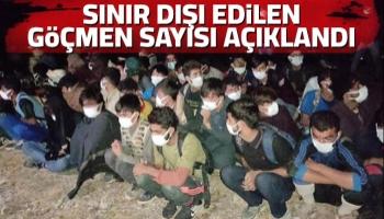 4 ayda 21 bin 87 düzensiz göçmenin sınır dışı edildi