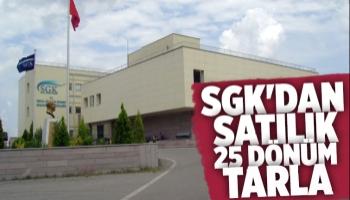 SGK Akyazı'da tarla satıyor