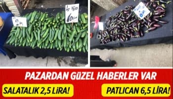 Pazarda sebze ve meyve fiyatları düştü