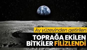 Aydan getirilen toprakta bitki yetiştirdiler