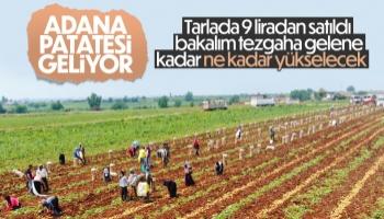 Patates tarladan 9 liradan satılıyor