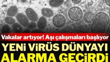 Maymun çiçeği virüsü dünyayı alarma geçirdi