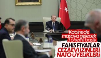 Cumhurbaşkanlığı Kabinesi toplanıyor: Masada önemli 3 konu var