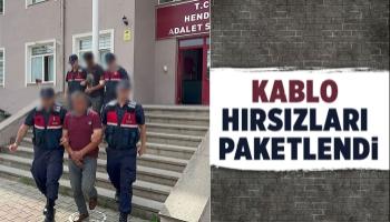 Kablo fareleri yakalandı