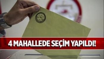 4 mahallede muhtarlık seçimi yapıldı