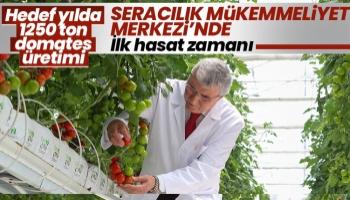 Seracılık Mükemmeliyet Merkezi’nde ilk hasat heyecanı