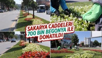 Şehrin caddeleri çiçek bahçesi gibi olacak