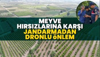 Meyve bahçeleri dron ile korunuyor