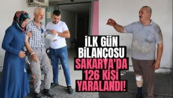 Sakarya'da 126 acemi kasap yaralandı