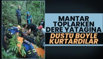 Mantar toplarken dere yatağına düştü, böyle kurtarıldı