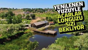 Acarlar longoz yeni yüzüyle açıldı