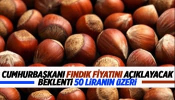 Fındık fiyatı açıklanacak