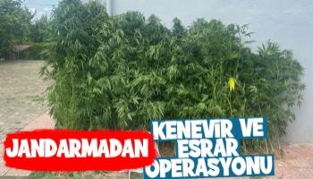 İlçe ve İl Jandarmadan uyuşturucu operasyonu