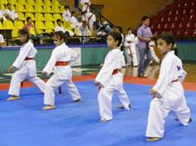 Karate Kuşak Terfi İmtihanları Yapıldı