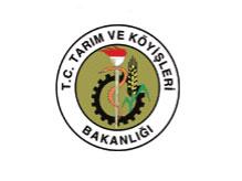 Tarım Müdürlüğünden Marul Üreticilerine Uyarı