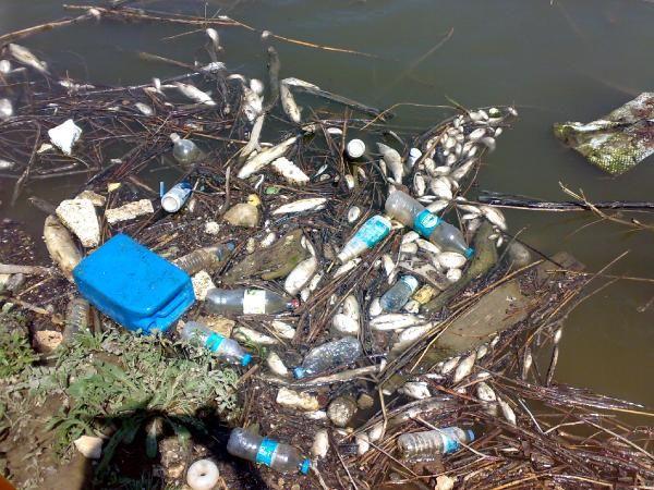 İşte Sakarya Nehri'nin son hali