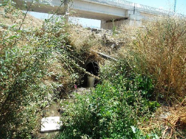 İşte Sakarya Nehri'nin son hali