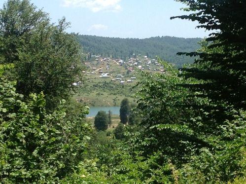 Geniş yapraklı orman işe yaradı yangınlar azaldı