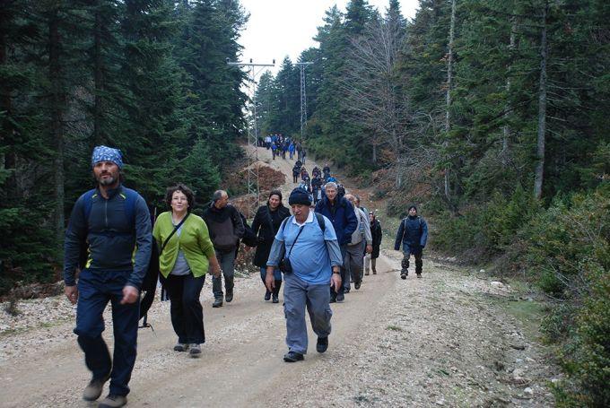 Sonbahar yürüyüşleri, Taraklı'da sona erdi