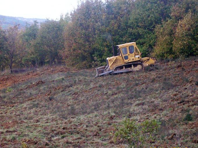 Proje, orman köylüsüne gelir sağlayacak