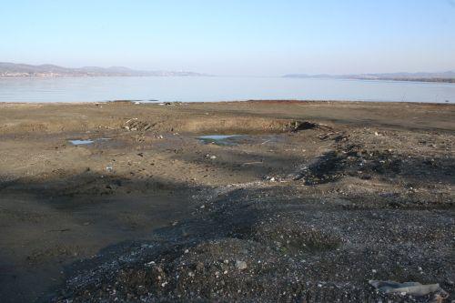 Sapanca Gölü yavaş yavaş bataklığa dönüşüyor