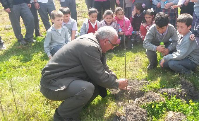 Orman Haftası nedeniyle çok sayıda fidan diktiler