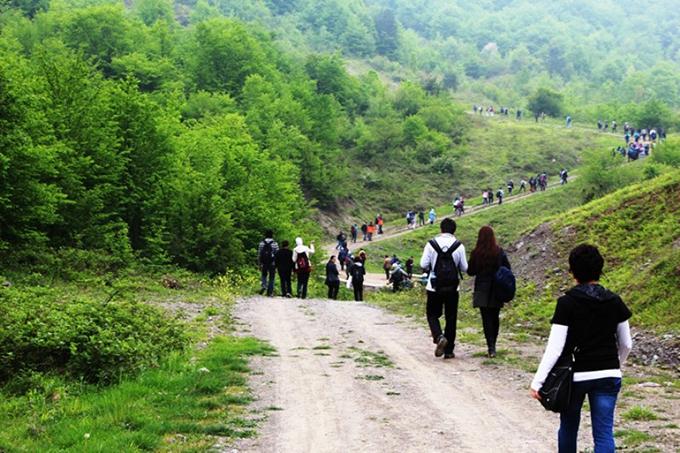 Geyve'de sağlıklı yaşam için doğa yürüyüşü yaptılar