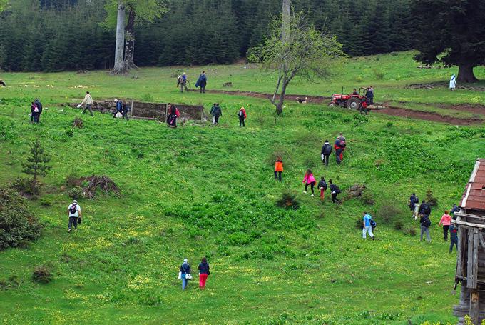 Büyük Yayla Parkuru'nda yürüdüler