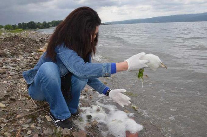 Sapanca Gölü bu kez de bu olayla gündemde!