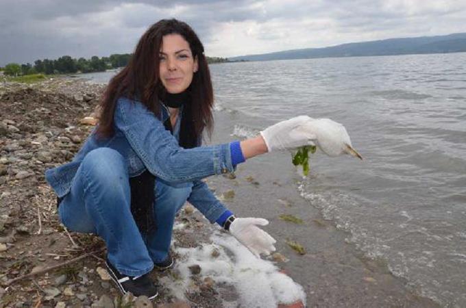 Sapanca Gölü bu kez de bu olayla gündemde!