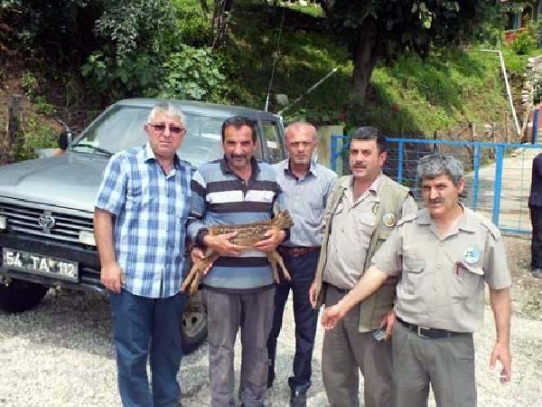 Fındık bahçesini temizlerken, onları buldular