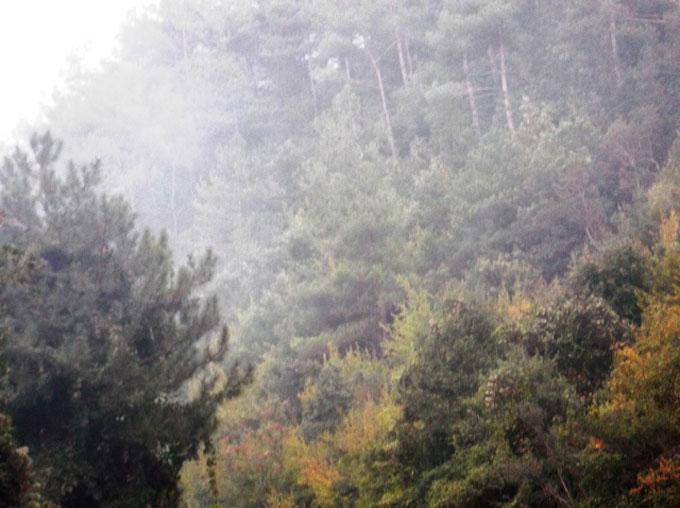 Taraklı Belediyesi'nin çöplüğü korkutuyor!
