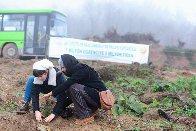 SAÜ öğrencileri ağaç dikti