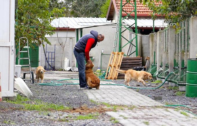 Köpek sahiplerini de eğitiyorlar