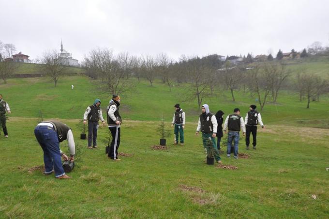 Sakarya Tema Vakfı, Dünya Ormancılık Günü'nü kutladı