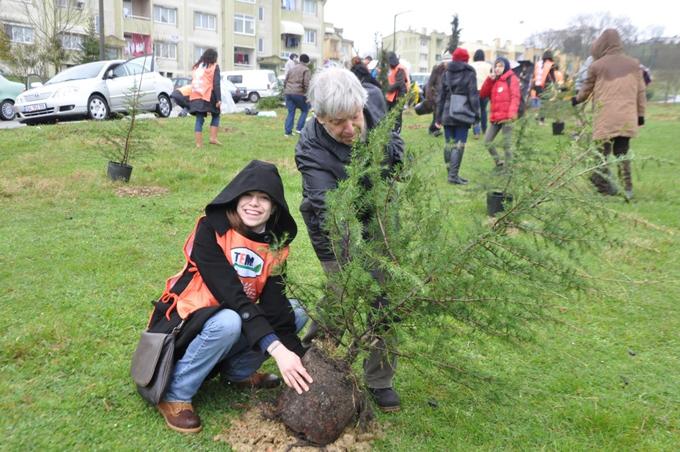 Sakarya Tema Vakfı, Dünya Ormancılık Günü'nü kutladı