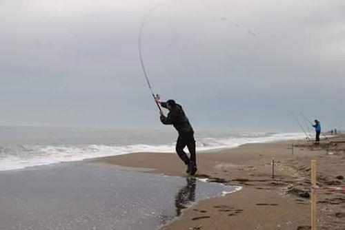 Kocaali'de kalkan balığı yakalama yarışması düzenlenecek