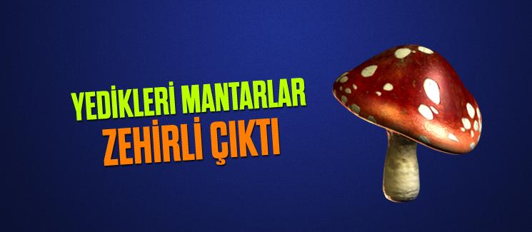 Topladıkları mantarları yiyen 4 kişi zehirlendi