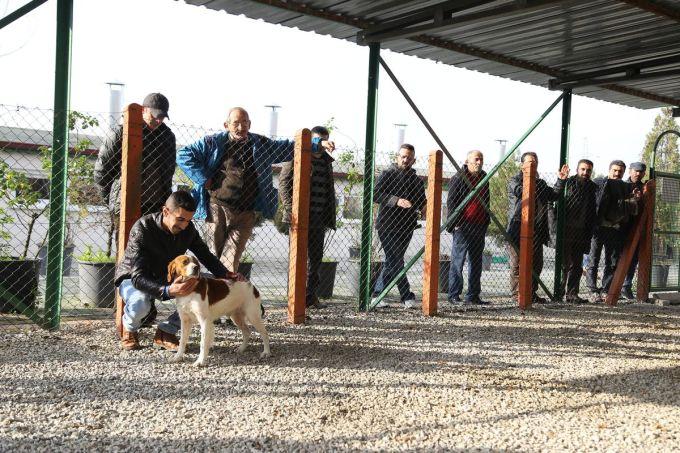 Köpek yarışlarının hakemleri belgelerini aldı