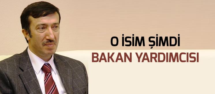 Hasan Ali Çelik, Bakan Yardımcısı oldu