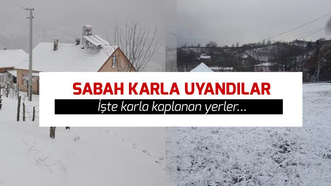 &nbsp;&nbsp;&nbsp; Kocaali Kestanepınarı