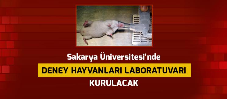 SAÜ'de deney hayvanları laboratuvarı kurulacak