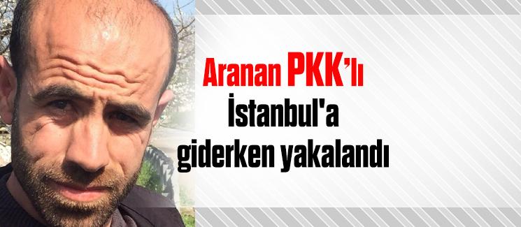 Aranan PKK terör örgütü üyesi İstanbul'a giderken yakalandı