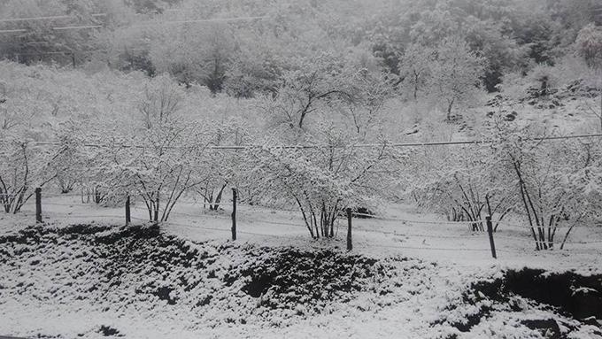 Sakaryanın en yüksek noktası beyaza büründü